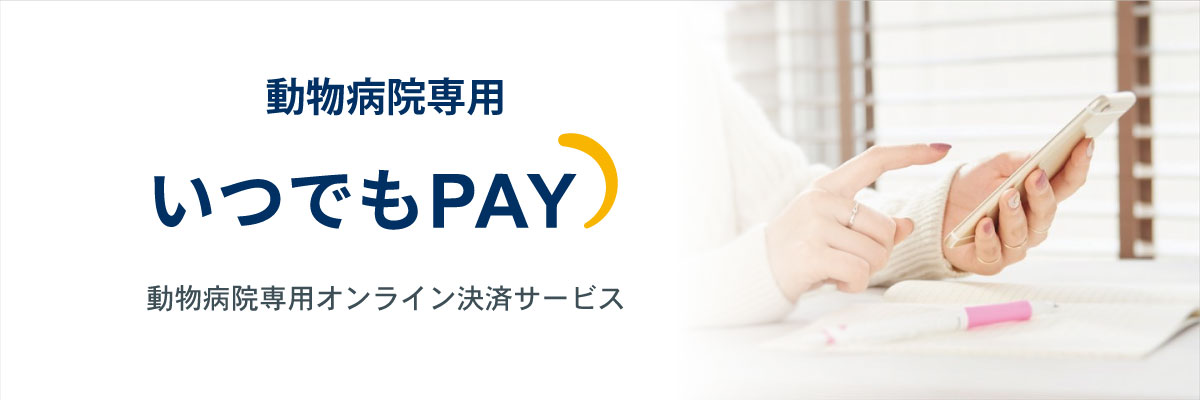 いつでもPAY